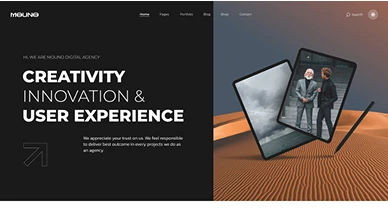 Section Or Theme Pages 34Devs